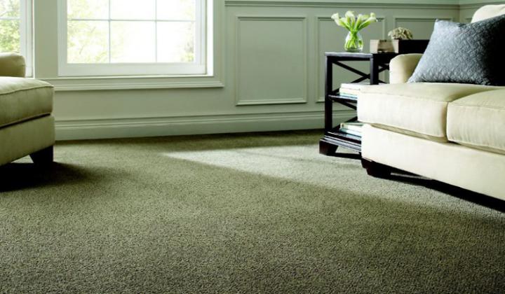 Home Carpets Best Home Carpet collection and other services