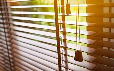 Are You in Need of Window Blinds?
