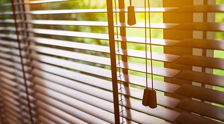 Are You in Need of Window Blinds?