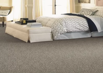 Living bedrooms carpets