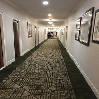 Cut Pile Hote Carpets