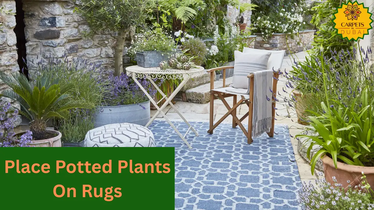 Place Potted Plants On Rugs