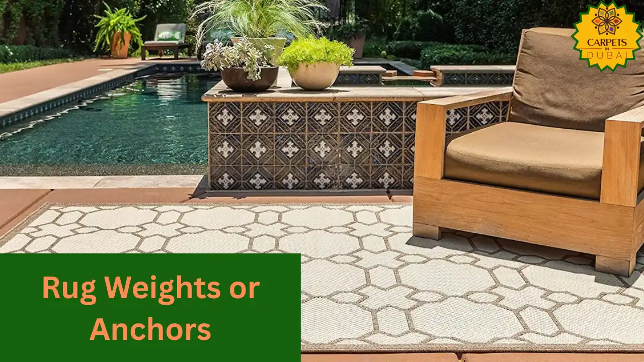 Rug Weights or Anchors