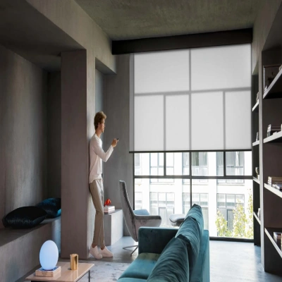 Home automation blinds