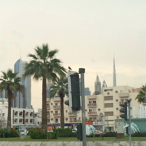 Dubai Satwa