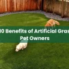 Top 10 Benefits of Artificial Grass for Pet Owners Top 10 Benefits of Artificial Grass for Pet Owners
