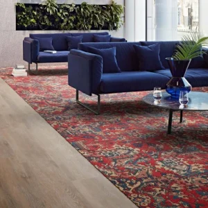 Antiquities Office Carpet