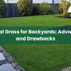 Artificial Grass for Backyards: Advantages and Drawbacks Artificial Grass for Backyards: Advantages and Drawbacks