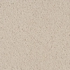Barakula Office Carpets