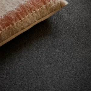 Eureka Carpet