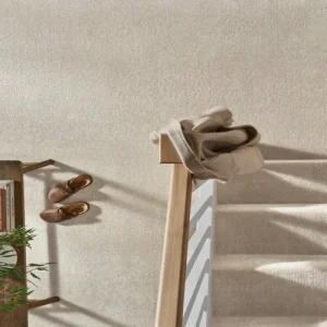 Everyday Ecru Carpet