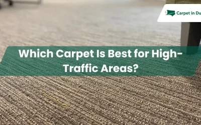 Which Carpet Is Best for High Traffic Areas